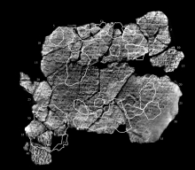Antikythera Mechanism: Fragment G Fragment G