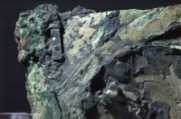 ak22a.jpg