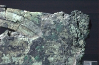 ak29a.jpg