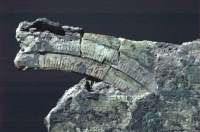 ak31a.jpg