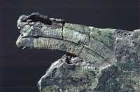 ak32a.jpg
