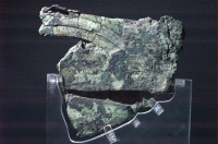 ak34a.jpg